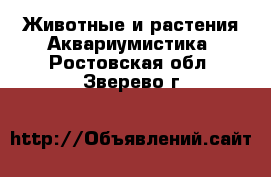 Животные и растения Аквариумистика. Ростовская обл.,Зверево г.